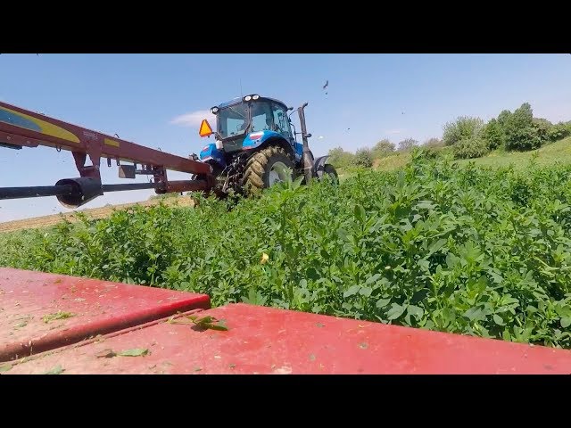 Well-leveled alfalfa field with proper drainage